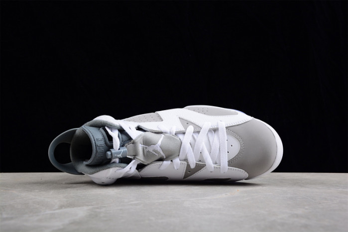 air jordan 6 "cool grey" ct8529-100