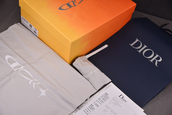 D1OR SNEAKERS B44 T0000-243